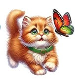 Cat Decal 5